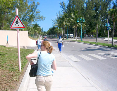 [ Time for a walk ]