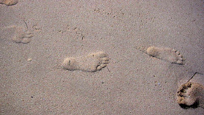 [ Little footprints ]