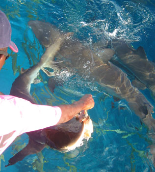 [ Holding out the fish ]