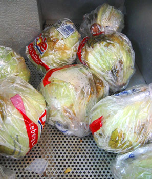 [ Rotting lettuce ]