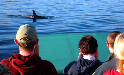 [ Up close with the whale ]