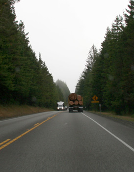[ Oregon coastal highway ]