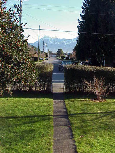 [ View down the street ]