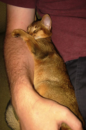 [ Tuckered out at home ]