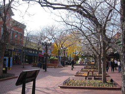 [ Nice trees ]