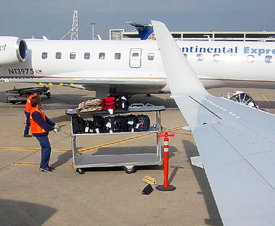 [ Luggage cart ]