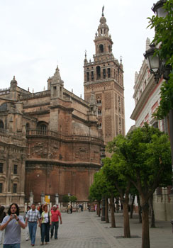 [ Seville's cathedral ]