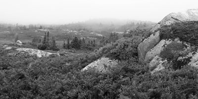 [ Moody rocks ]