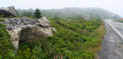 [ Foggy rocks ]