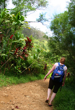[ Hiking path in Maui ]