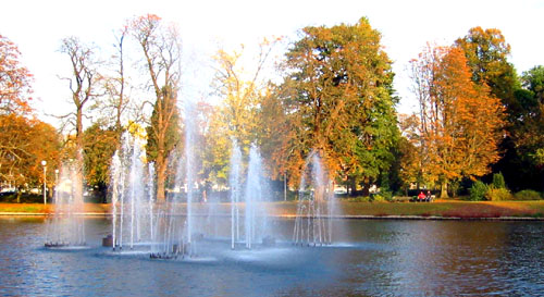 [ Park in fall ]