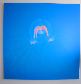 [ 
Jellyfish art ]