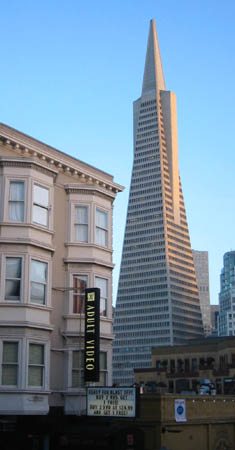 [ Transamerica and Adult Video 

]