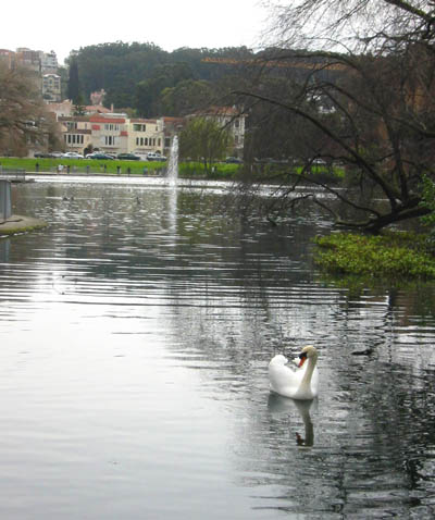 [ Palace of Fine Arts ]
