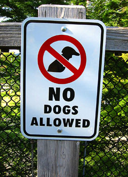 [ No Dogs Allowed 

]