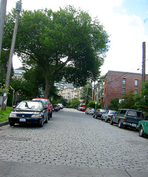 [ Stone road 

]