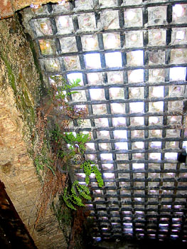 [ Up through a 

skylight ]
