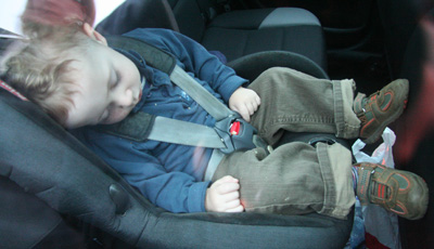 [ Milo naps in car ]