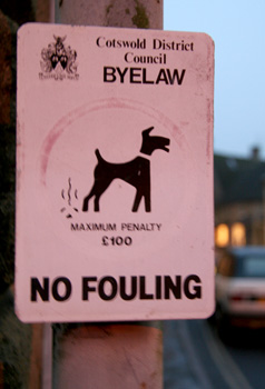 [ No fouling ]