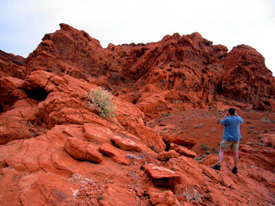 [ Mike Taking Another Photo ]